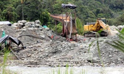 seguridad militar, descontaminación ambiental y fomento al ecoturismo