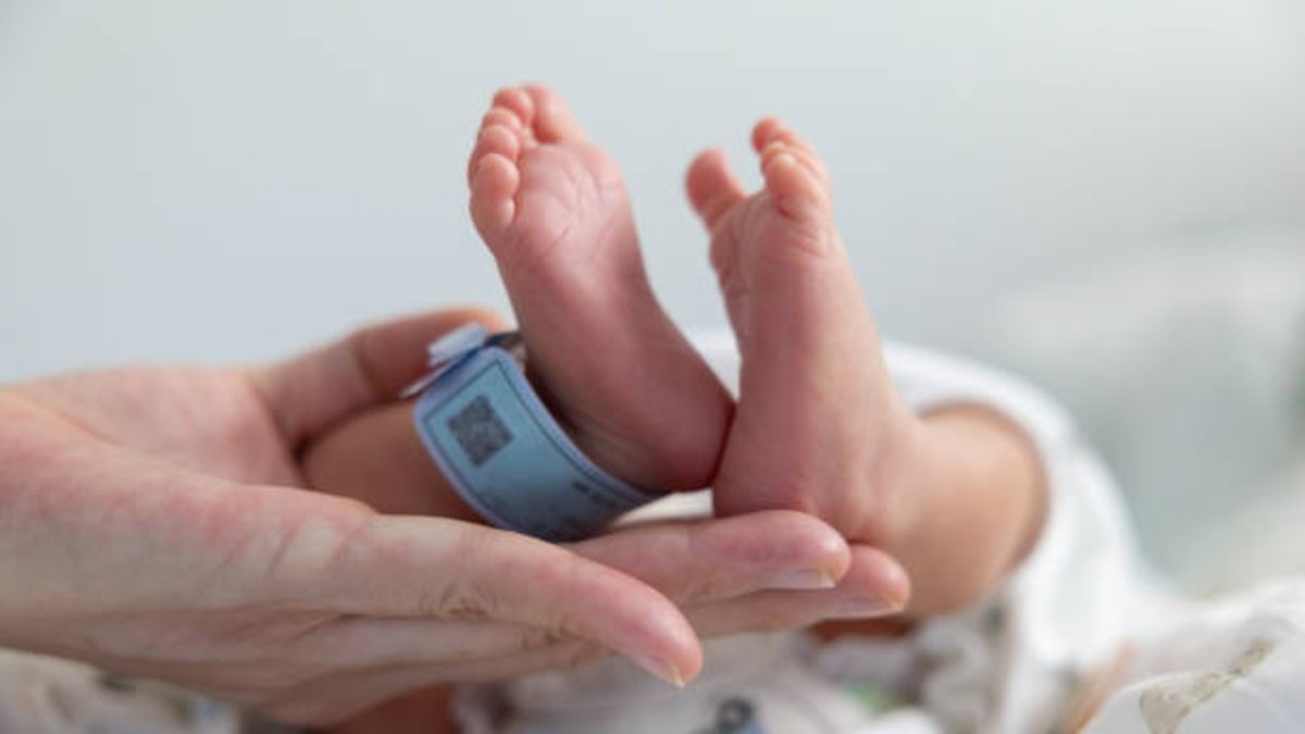 vecinos alertaron sobre el hallazgo en el techo de una casa