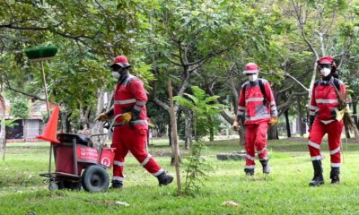 Alcaldía de Cali desmiente rumores y confirma que el aseo opera con normalidad bajo nueve empresas autorizadas