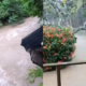 al menos seis municipios sufrieron inundaciones