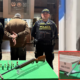 Las quejas y antecedentes sobre el comportamiento del hombre que fue grabado disparando una escopeta en Bogotá.
