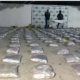 incautan más de media tonelada de marihuana en una vivienda; la droga está valorada en cerca de $3.000 millones