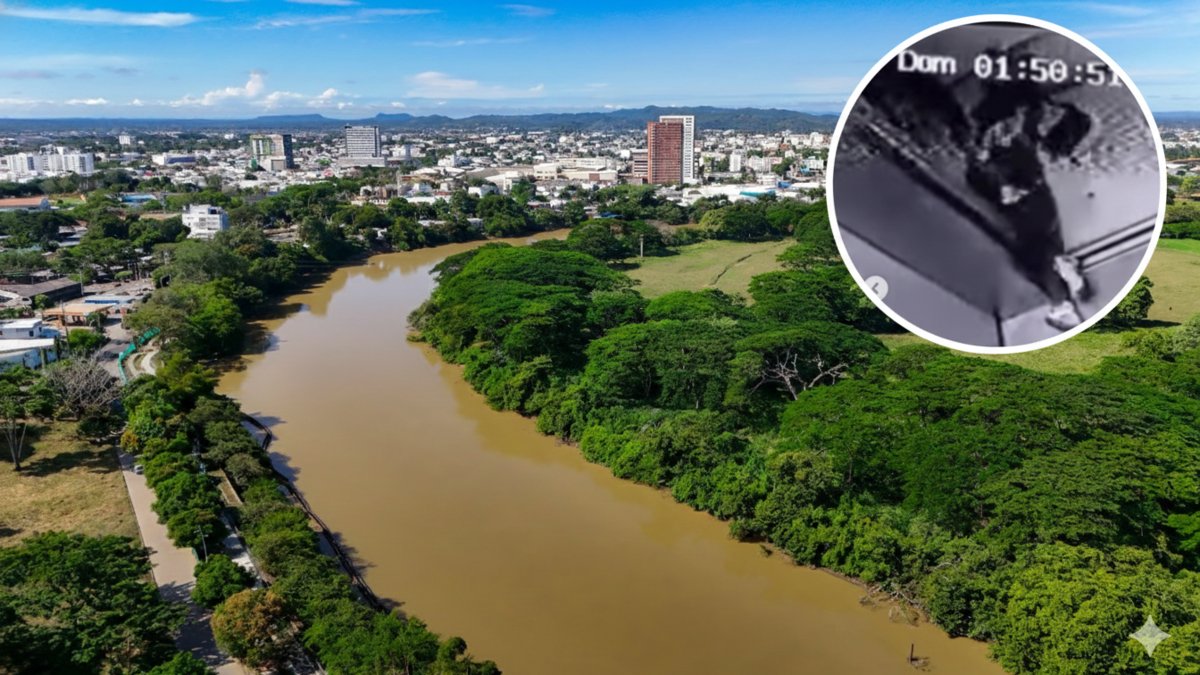 No Es Hora de Callar/ golpiza a mujer dentro de un ascensor, grabado en video en el norte de Montería, indigna al país: agresor sería su pareja