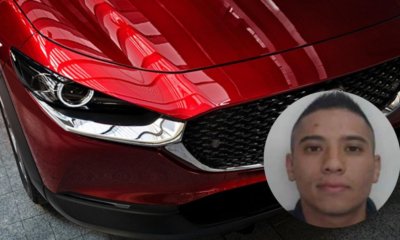 estas son las que más busca para venderlas en el mercado negro