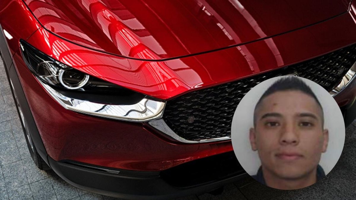 estas son las que más busca para venderlas en el mercado negro