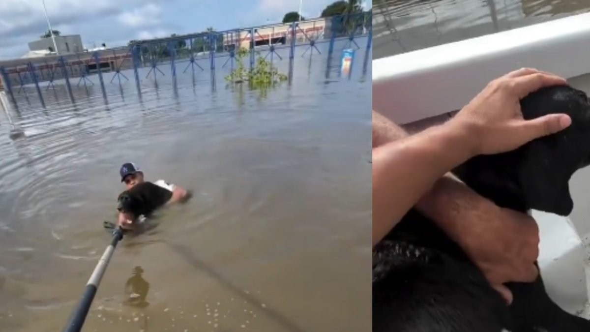 Conmovedor video de perrito que nadó hasta una lancha para salvarse en medio de las graves inundaciones en Córdoba: así lo ayudaron rescatistas
