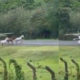 Video muestra el momento en que una avióneta esquiva, por poco, a varios caballos que invadieron pista en Capurganá, Chocó