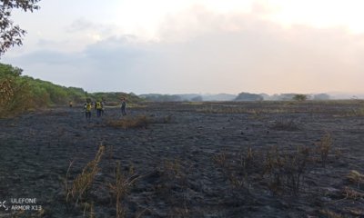 se reaviva la preocupación ambiental