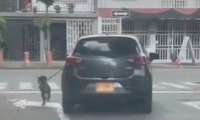 autoridades investigan presunto caso de maltrato en el norte de Cali