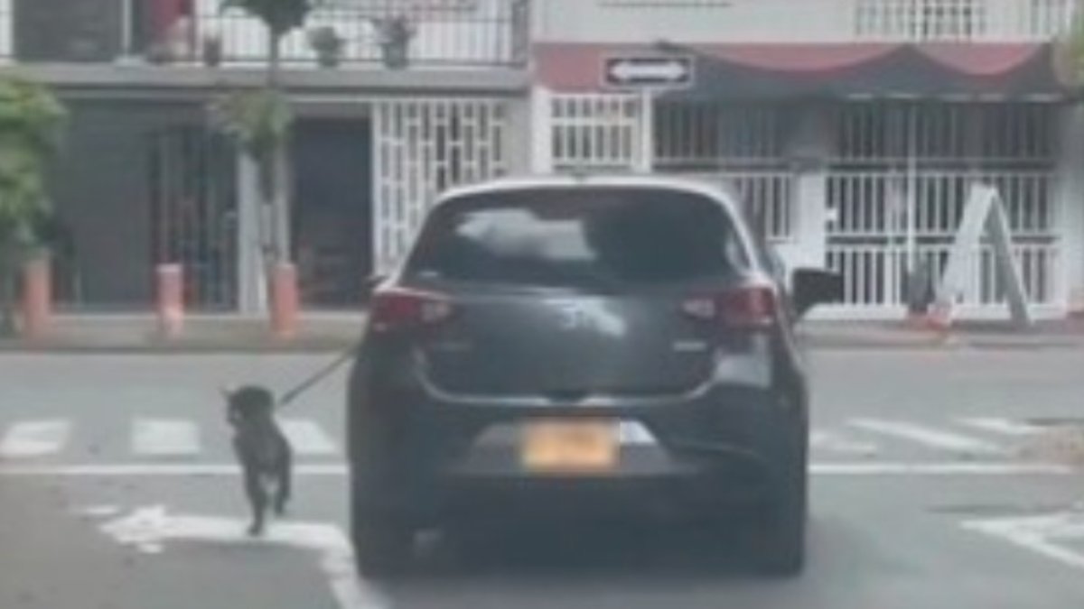 autoridades investigan presunto caso de maltrato en el norte de Cali