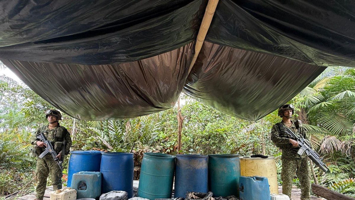 destruyen 37 laboratorios de coca e incautan 2,3 toneladas de drogas