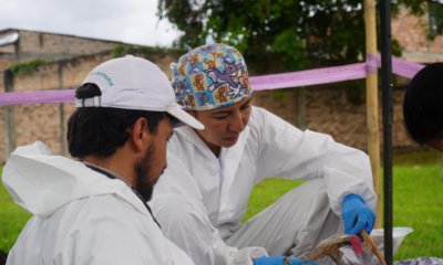 Así fue la recuperación de 32 cuerpos de quienes desaparecieron en el conflicto; proceso, con mujeres buscadoras e indígenas en cementerio de Popayán