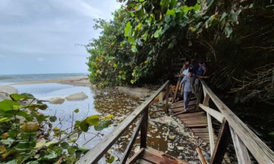 Santa Marta | El Parque Tayrona abrió nuevamente sus puertas, pero la reapertura no ocurrió bajo la normalidad de siempre: esto es todo lo que debe saber.