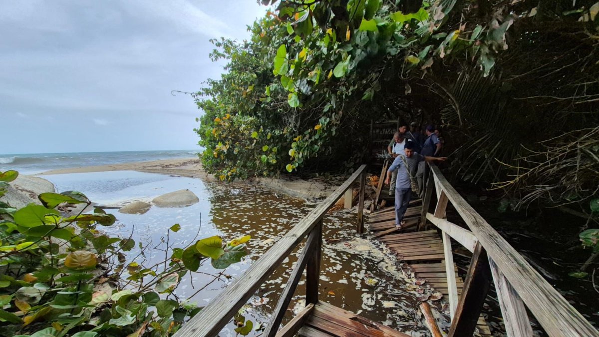 Santa Marta | El Parque Tayrona abrió nuevamente sus puertas, pero la reapertura no ocurrió bajo la normalidad de siempre: esto es todo lo que debe saber.