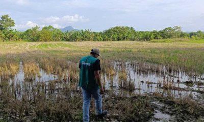 'Desde hace 4 años estamos inundados', Lucy García, Gobernadora de Sucre