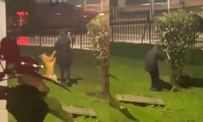 Denuncian caso de maltrato animal contra un perro en conjunto residencial de Engativá en Bogotá; comunidad señaló que no tuvo respuesta de la Policía