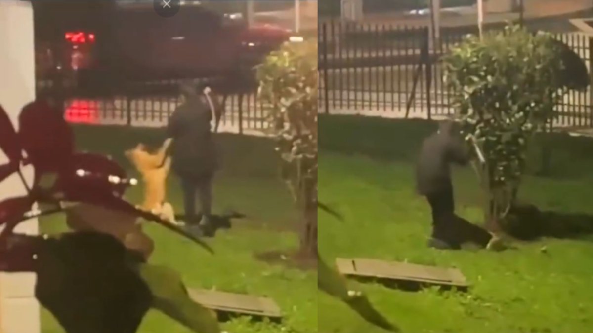 Denuncian caso de maltrato animal contra un perro en conjunto residencial de Engativá en Bogotá; comunidad señaló que no tuvo respuesta de la Policía