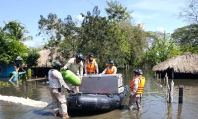 Más de 25 mil damnificados y millonarias pérdidas en cultivos en varias zonas de Sucre