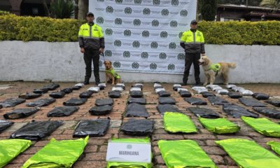 Policía incauta 67 kilos de marihuana que fueron enviados por encomienda hacia Bogotá