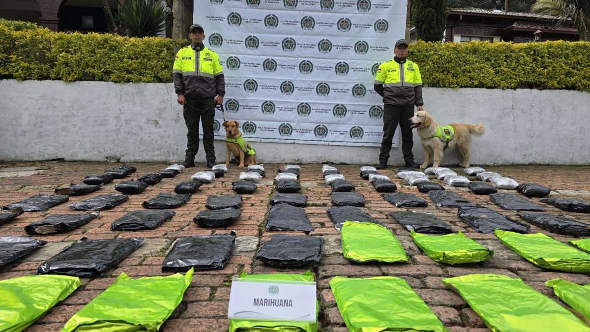 Policía incauta 67 kilos de marihuana que fueron enviados por encomienda hacia Bogotá