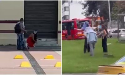 jóvenes realizaban comportamientos e interactuaban como animales