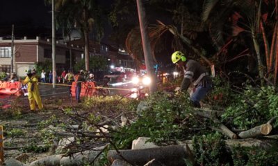 Árboles caídos, calles inundadas y semáforos dañados: así vivió Cali la tarde