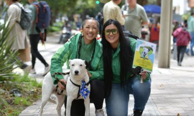 Este domingo, apúntese a la jornada de adopción que se realizará en la Biblioteca Virgilio Barco