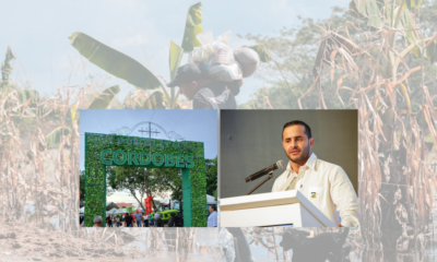 gobernador dice que es clave para salvar empleos y mover $100 mil millones