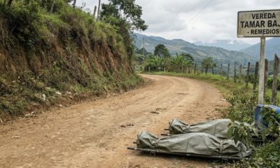 cuerpos sin recoger y combates