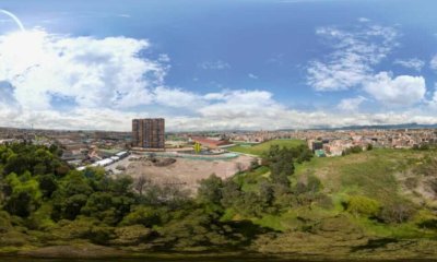 Reemplazan árboles exóticos que generan riesgos por especies nativas en los humedales de Bogotá