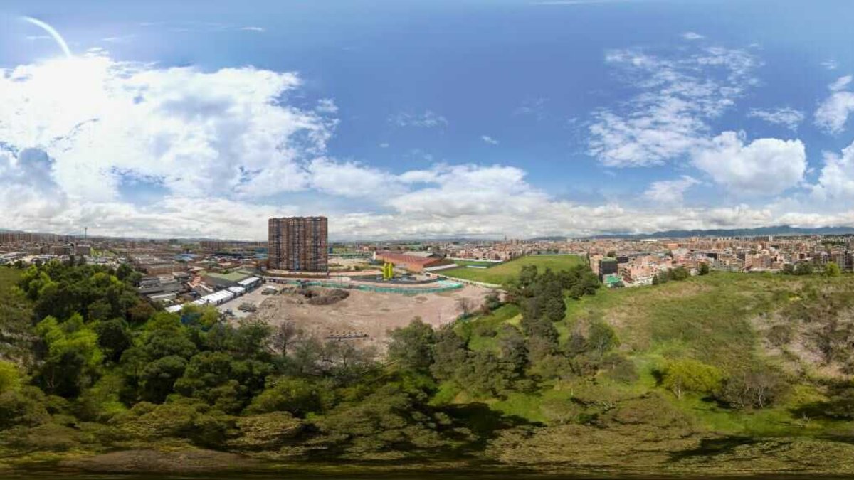 Reemplazan árboles exóticos que generan riesgos por especies nativas en los humedales de Bogotá