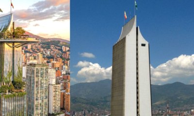 El proyecto viral para convertirlo en un jardín vertical de