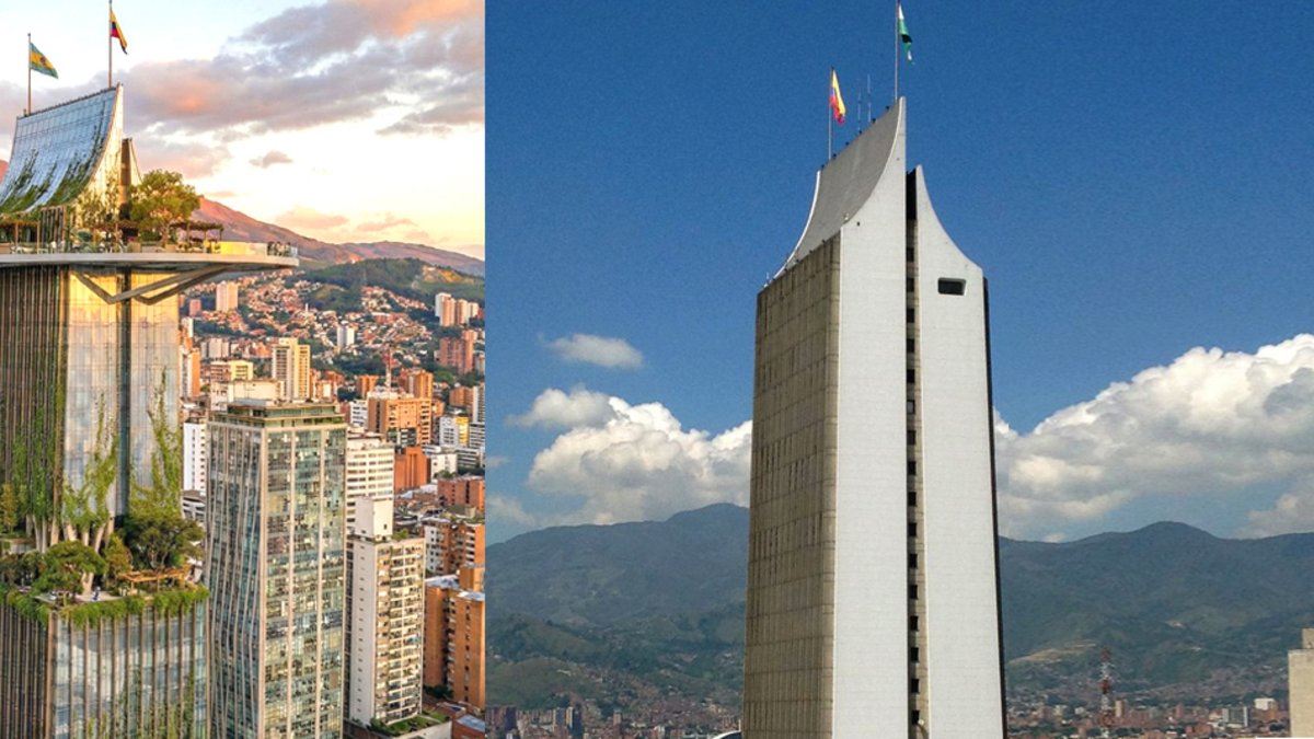 El proyecto viral para convertirlo en un jardín vertical de