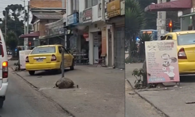 Taxista se saltó el trancón manejando por el andén en Suba y debe más de $8 millones en multas