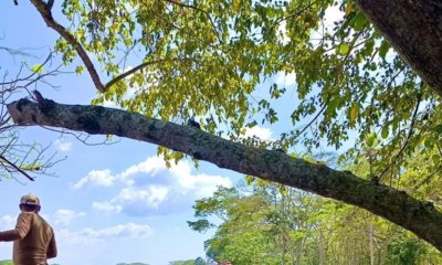 Habitantes del Bajo Sinú en Córdoba luchan por el cierre de boquetes que inundan pueblos en las zonas rurales