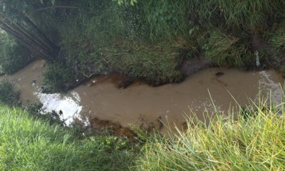 CAR Cundinamarca alerta por vertimiento masivo de combustible en afluente del río Bogotá tras volcamiento de carrotanque