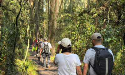 Visitas a los senderos de los cerros orientales de Bogotá aumentaron 58 por ciento en 2025