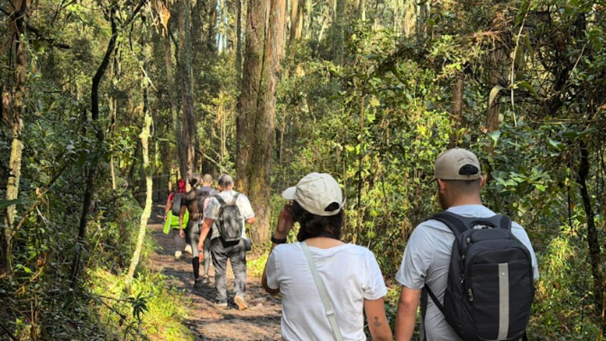 Visitas a los senderos de los cerros orientales de Bogotá aumentaron 58 por ciento en 2025