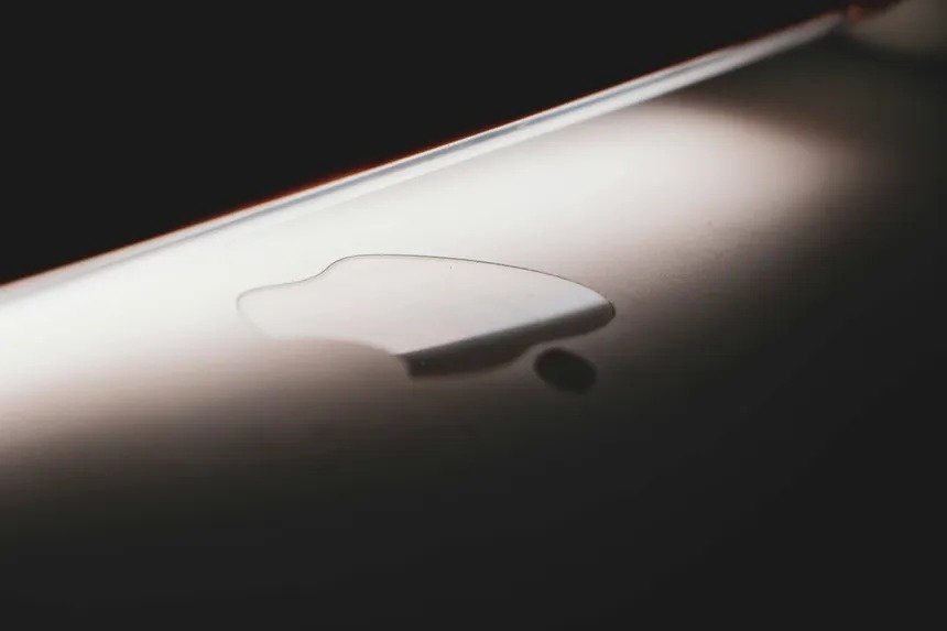 WhatsApp Image 2026-02-17 at 3.49.46 PM