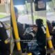 Así fue viral aparición del perrito ‘conductor’ que conquistó a los pasajeros del Sitp en Bogotá, hasta uniforme tiene