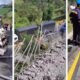 Cierre parcial de la vía La Línea afecta la movilidad tras accidente en el túnel Los Azulejos: el siniestro deja dos muertos y varios heridos
