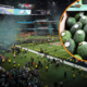 El Super Bowl impulsa exportaciones desde Colombia de aguacate, café y flores a Estados Unidos