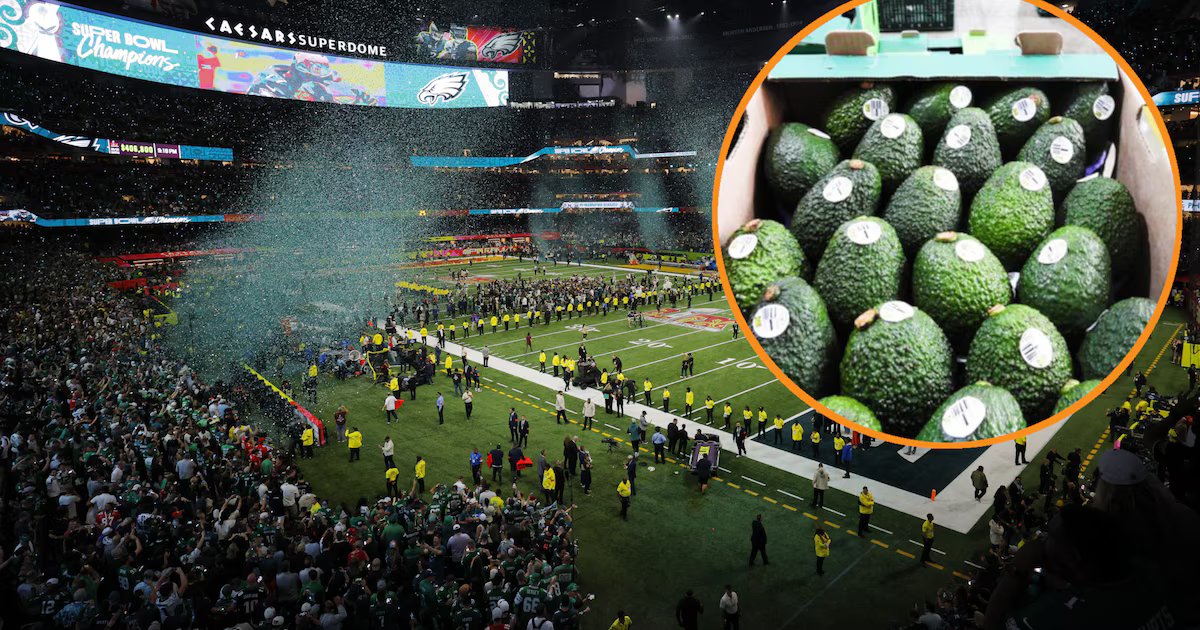 El Super Bowl impulsa exportaciones desde Colombia de aguacate, café y flores a Estados Unidos