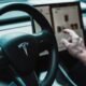 Tesla Elon Musk Auto eléctrico