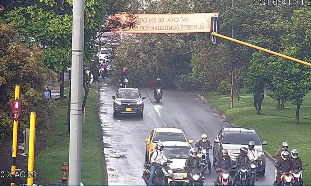 Emergencia en Bogotá, por caída de árbol sobre un taxi: autoridades recomendaron vías alternas