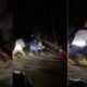 En video: Gobernador de Córdoba lidera rescate de hombre atrapado por creciente en vía a Montelíbano