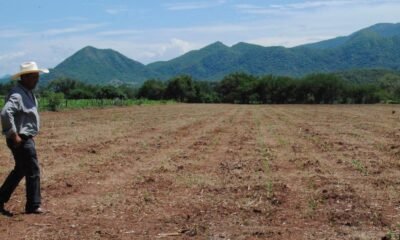Estas son las claves del “Invima campesino”, propuesta que busca mejorar la sostenibilidad económica de pequeños productores