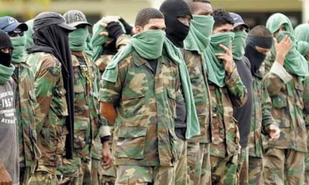 Experto descartó que el Clan del Golfo y el Estado colombiano firmen la paz: “No existe ninguna posibilidad”