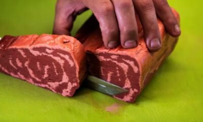 Exportaciones de carne de res están bajo amenaza: Analdex lanzó dura advertencia por efectos económicos