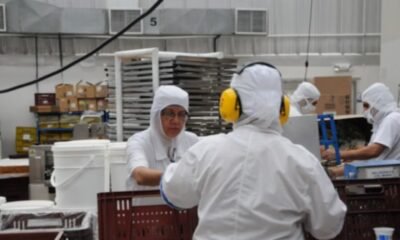 Gobierno Petro adelantó cuáles serán las medidas con las que ayudarán a las empresas a sobrellevar el aumento del salario mínimo